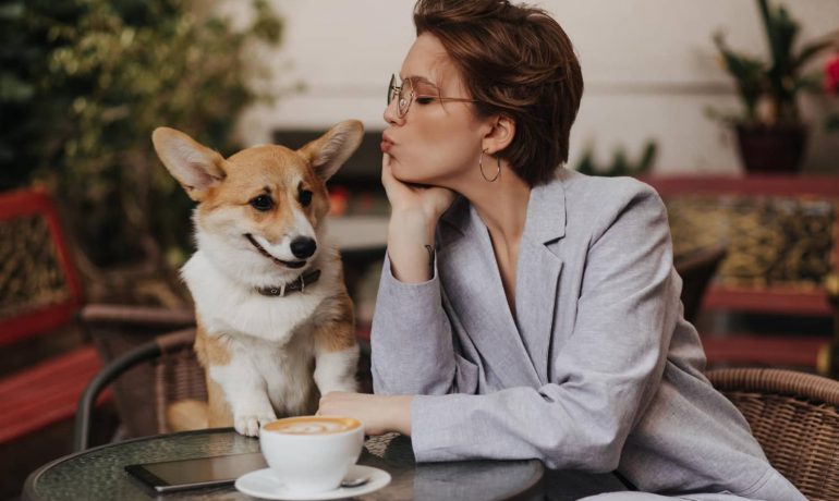 ¿El café es bueno para los perros?