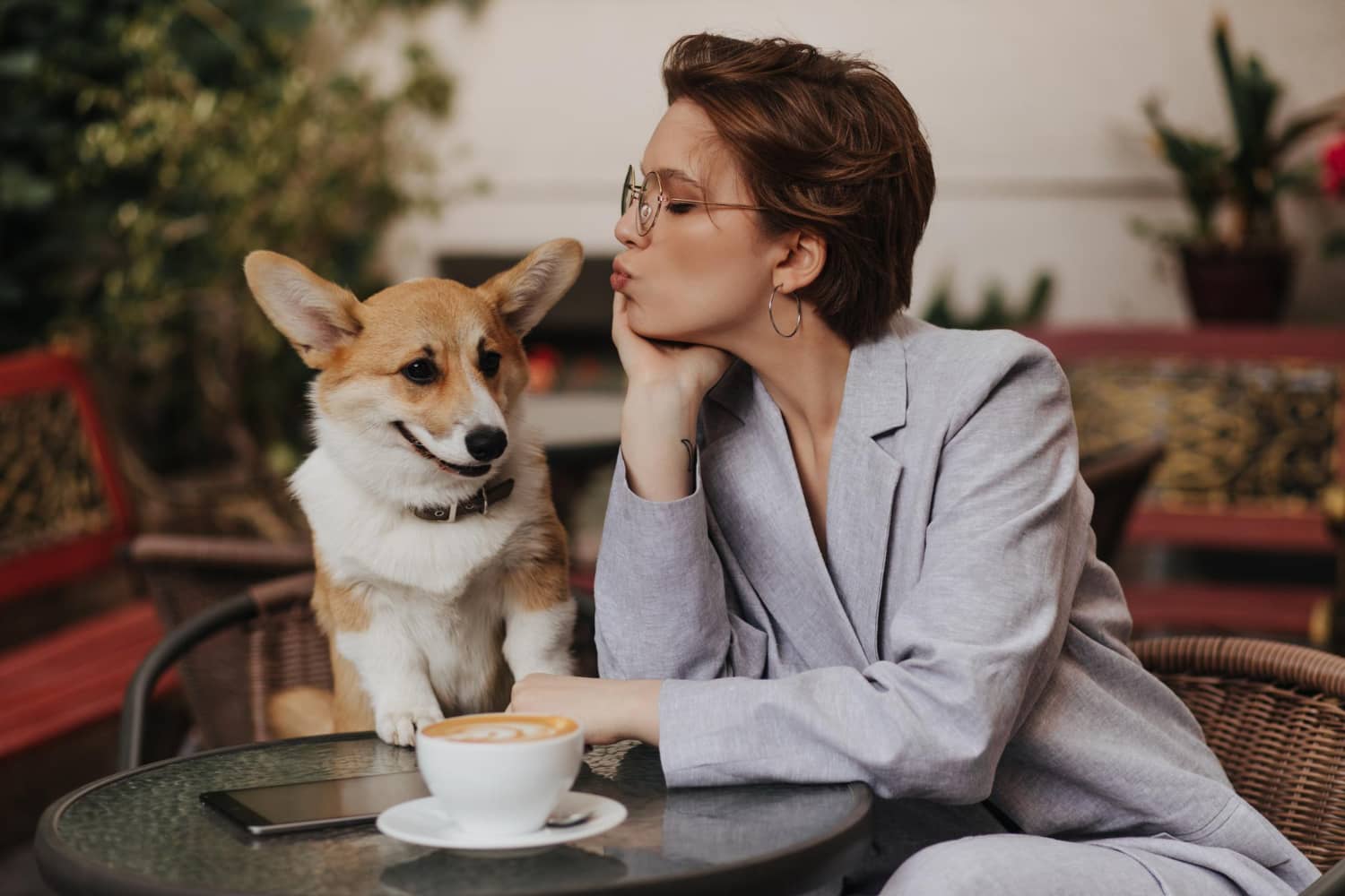 puedo darle café a mi perro