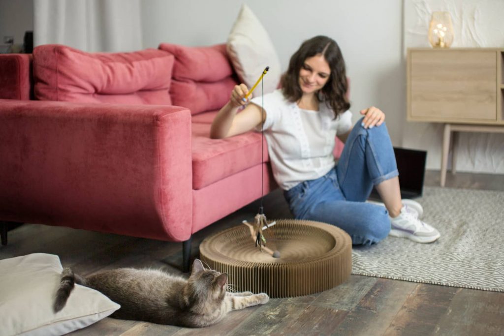 Cómo incorporar el pet living en tu hogar