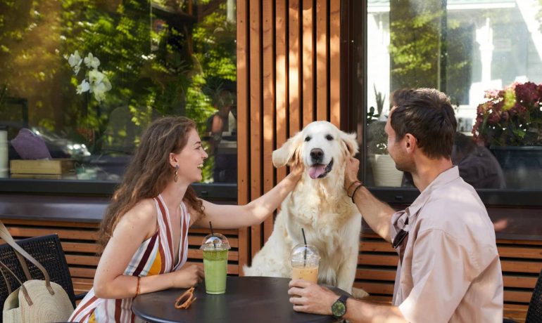 Cómo ser un restaurante dog friendly