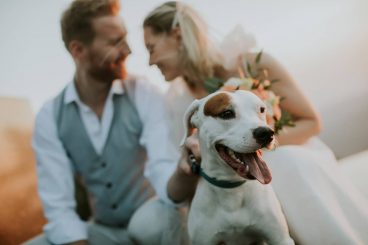 Boda pet friendly: celebrando el amor junto a tu mascota