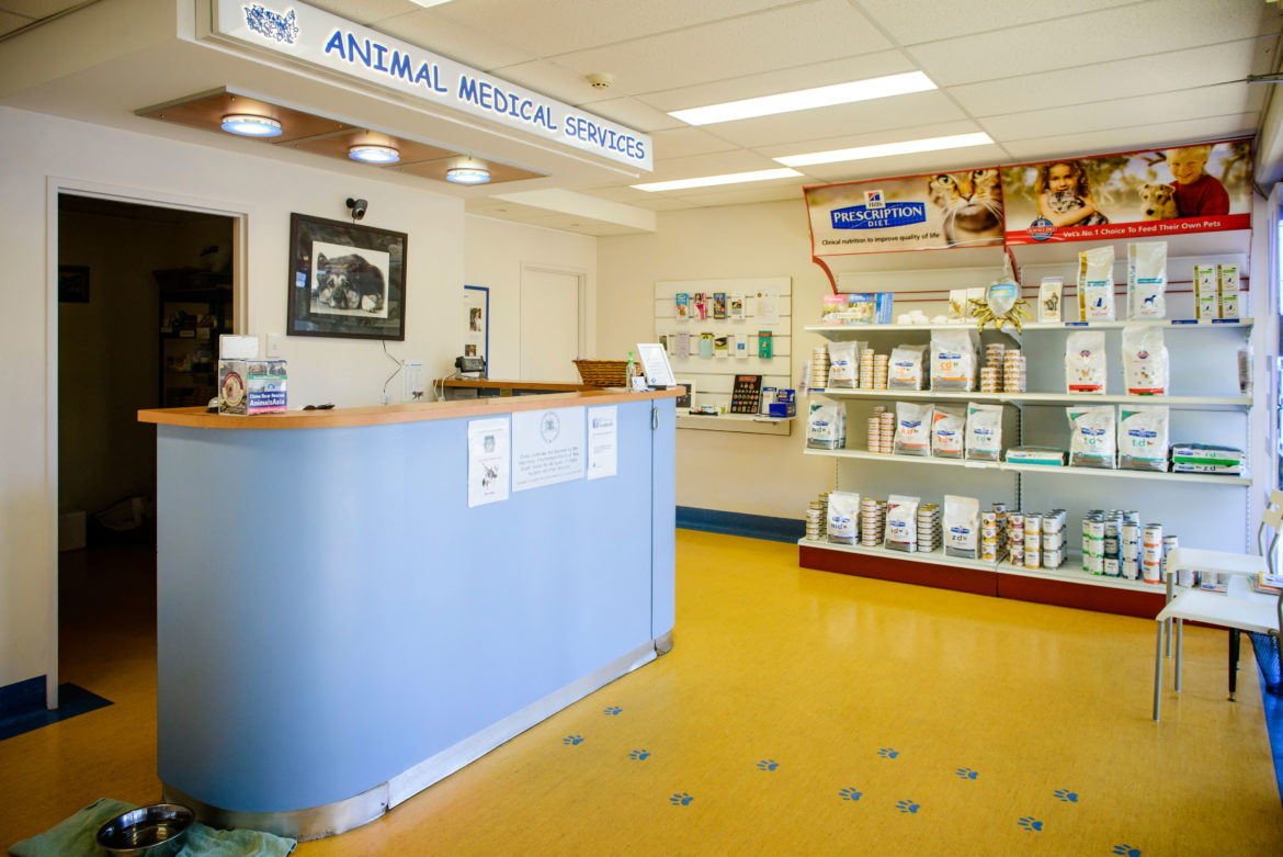 5 ventajas de utilizar el merchandising en nuestra clínica veterinaria