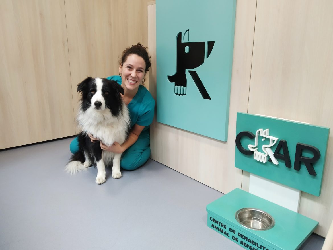 CRAR BCN: Centro de Rehabilitación Animal de Referencia CRAR BCN: Centro de Rehabilitación Animal de Referencia