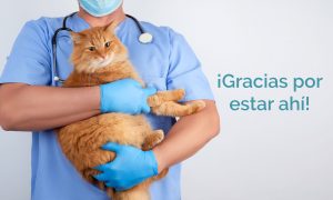 veterinarios gracias por estar ahi