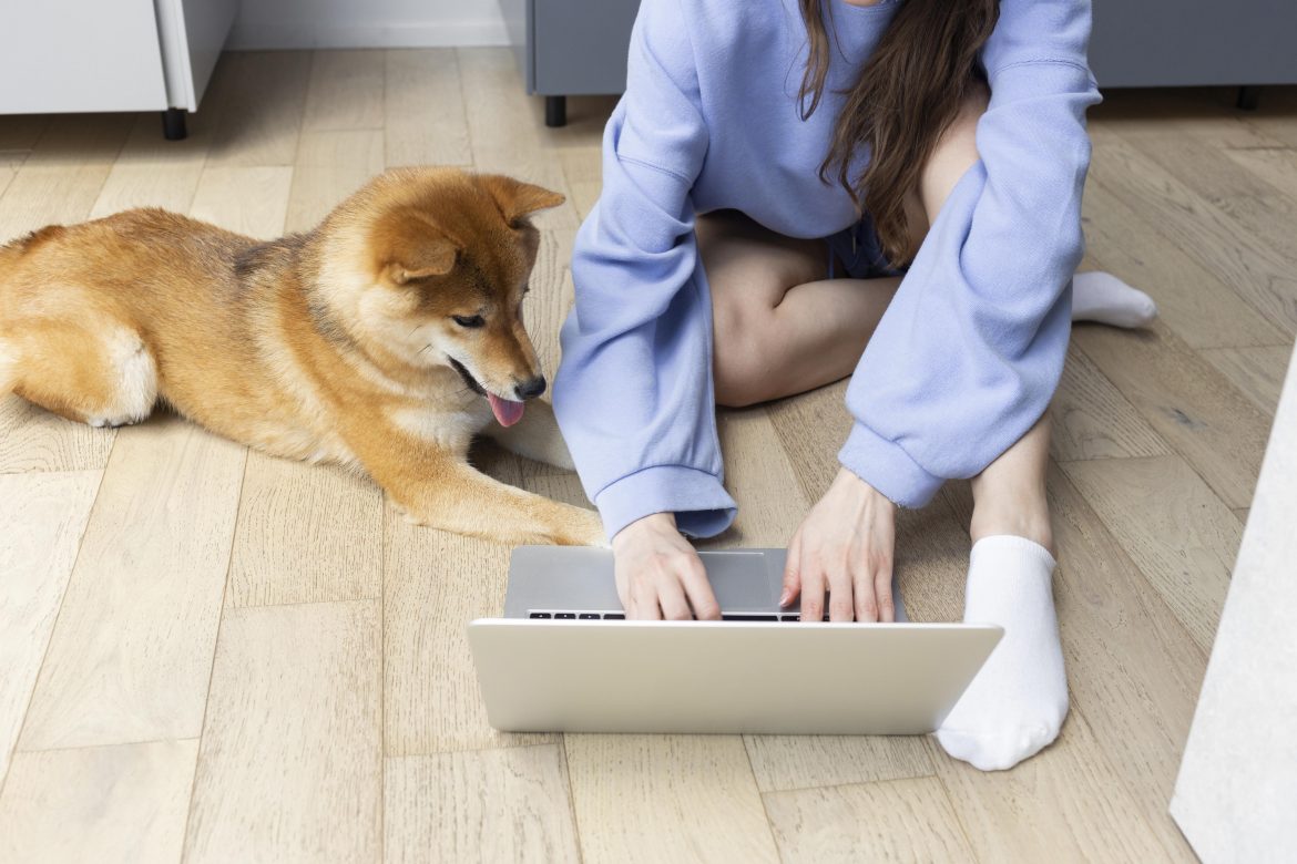 cuatro páginas importantes para el sitio web veterinario cuatro páginas importantes para el sitio web veterinario