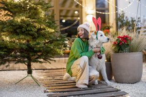 Consejos a considerar en el centro veterinario en Navidad