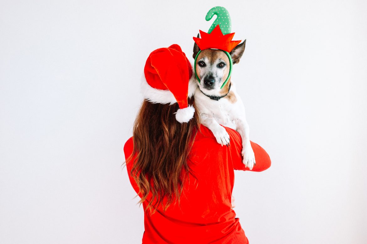 Consejos para tu centro veterinario de cara a Navidad Consejos para tu centro veterinario de cara a Navidad