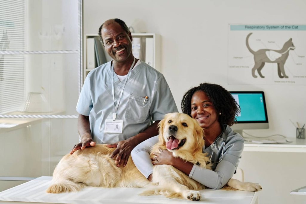 Cómo puede ayudar el employee advocacy en veterinaria