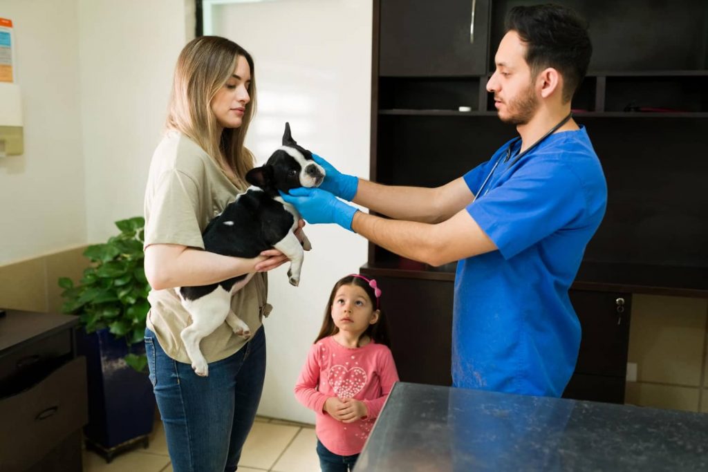 Servicio al cliente veterinario eficaz características