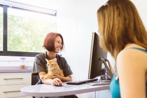 Gestión de los planes de salud para mascotas en Wakyma