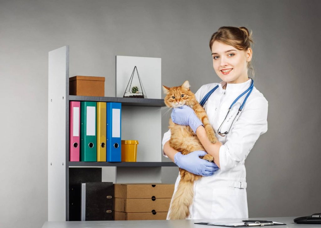 Claves para lograr una gestión eficiente en las clínicas veterinarias