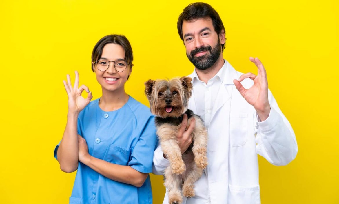 Importancia de la gestión del personal en una clínica veterinaria