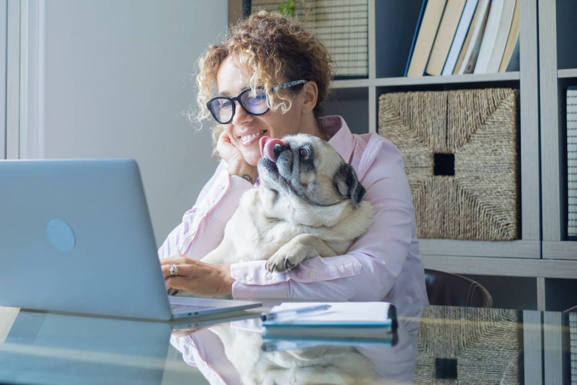 adaptacion-nuevo-software-veterinario Adaptación a un nuevo software veterinario en la clínica