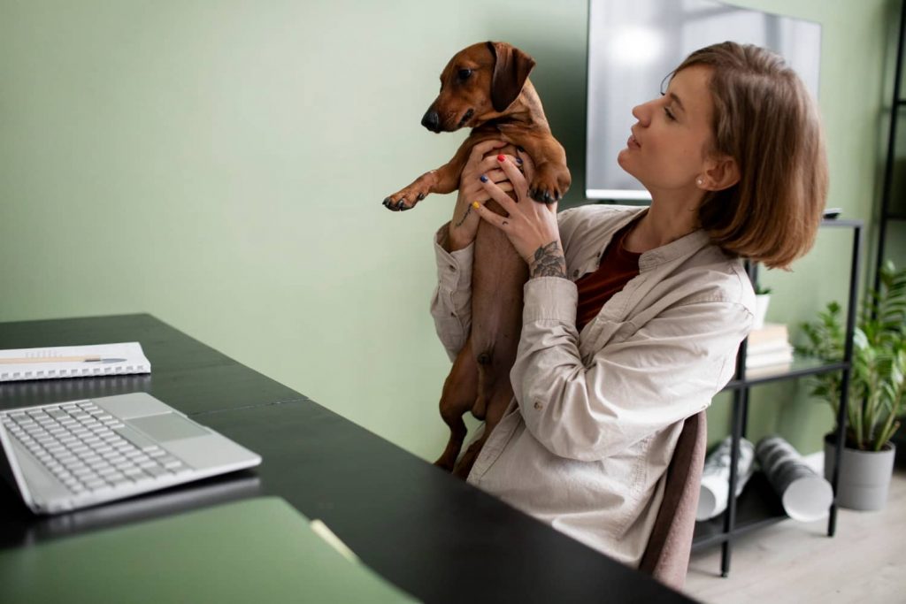 Tips para la correcta adaptación a un nuevo software veterinario en tu clínica