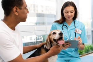 Ventajas de elegir correctamente tu software de gestión veterinario